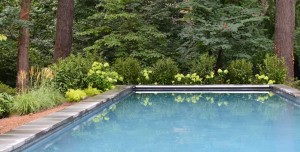 Barbara Balman Landscape Design » Water Features